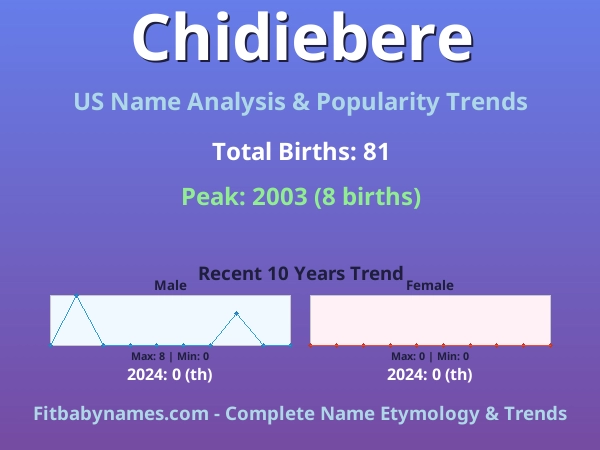 Infographic: Chidiebere name meaning, origin, and popularity trends in the United States (US baby name analysis chart)