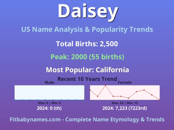 Infographic: Daisey name meaning, origin, and popularity trends in the United States (US baby name analysis chart)