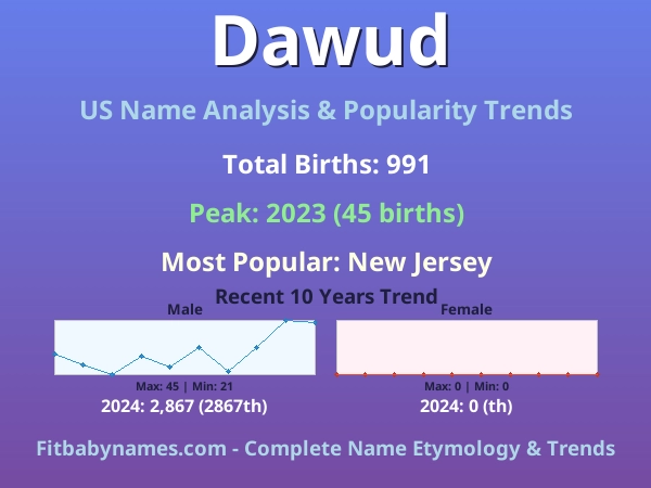 Infographic: Dawud name meaning, origin, and popularity trends in the United States (US baby name analysis chart)