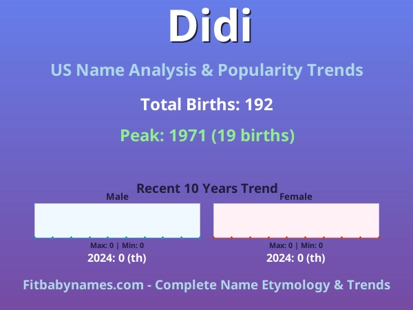 Infographic: Didi name meaning, origin, and popularity trends in the United States (US baby name analysis chart)