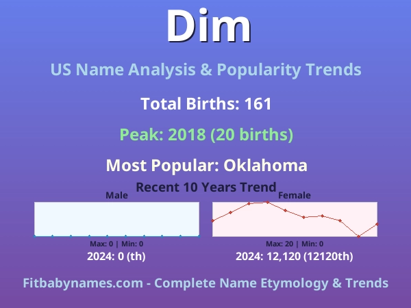 Infographic: Dim name meaning, origin, and popularity trends in the United States (US baby name analysis chart)