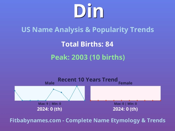 Infographic: Din name meaning, origin, and popularity trends in the United States (US baby name analysis chart)