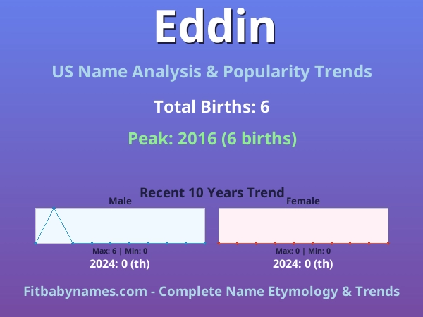 Infographic: Eddin name meaning, origin, and popularity trends in the United States (US baby name analysis chart)