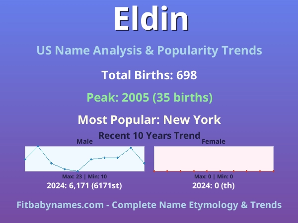 Infographic: Eldin name meaning, origin, and popularity trends in the United States (US baby name analysis chart)