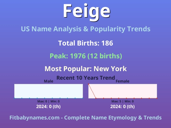 Infographic: Feige name meaning, origin, and popularity trends in the United States (US baby name analysis chart)