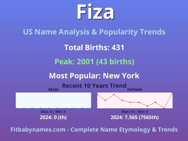 Infographic: Fiza name meaning, origin, and popularity trends in the United States (US baby name analysis chart)