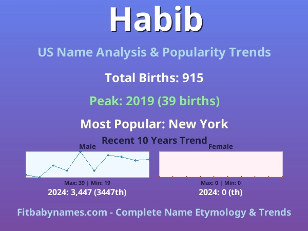 Infographic: Habib name meaning, origin, and popularity trends in the United States (US baby name analysis chart)