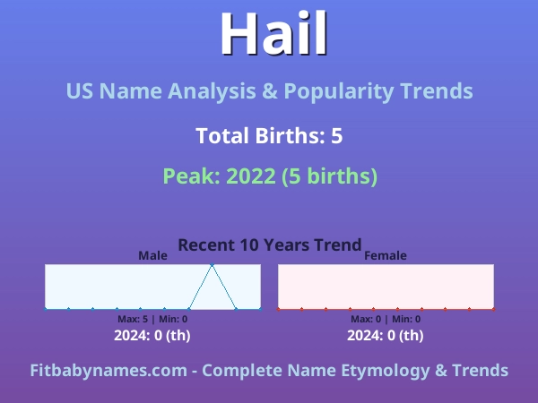 Infographic: Hail name meaning, origin, and popularity trends in the United States (US baby name analysis chart)