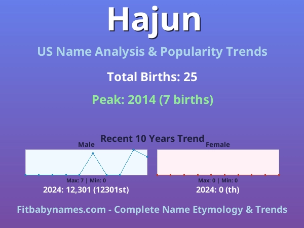 Infographic: Hajun name meaning, origin, and popularity trends in the United States (US baby name analysis chart)