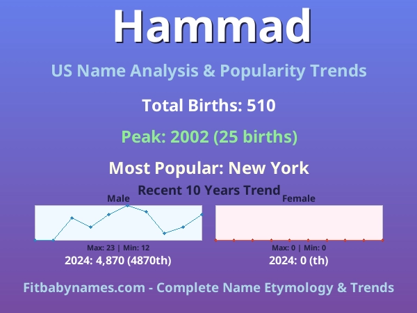 Infographic: Hammad name meaning, origin, and popularity trends in the United States (US baby name analysis chart)