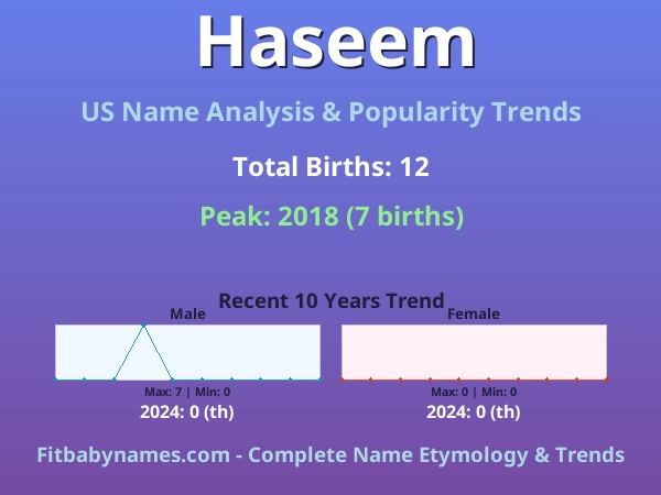 Infographic: Haseem name meaning, origin, and popularity trends in the United States (US baby name analysis chart)
