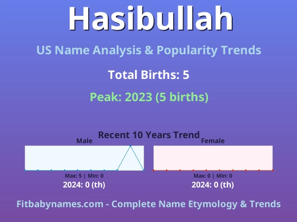 Infographic: Hasibullah name meaning, origin, and popularity trends in the United States (US baby name analysis chart)