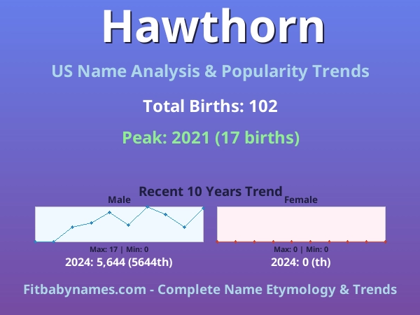 Infographic: Hawthorn name meaning, origin, and popularity trends in the United States (US baby name analysis chart)
