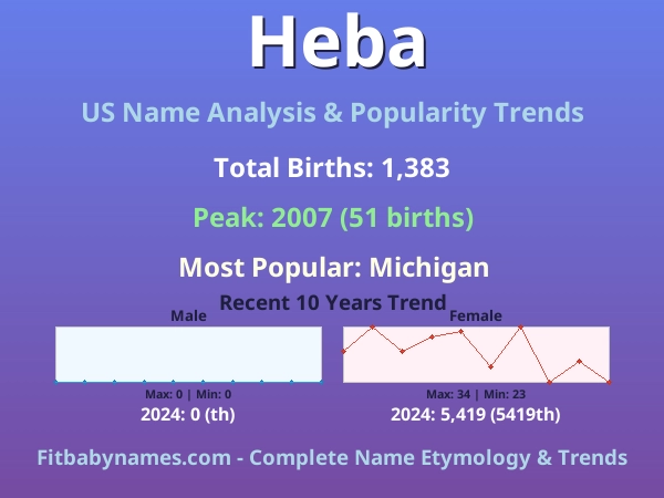 Infographic: Heba name meaning, origin, and popularity trends in the United States (US baby name analysis chart)
