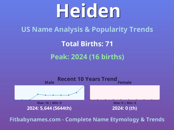 Infographic: Heiden name meaning, origin, and popularity trends in the United States (US baby name analysis chart)