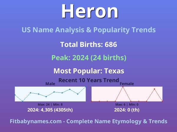 Infographic: Heron name meaning, origin, and popularity trends in the United States (US baby name analysis chart)