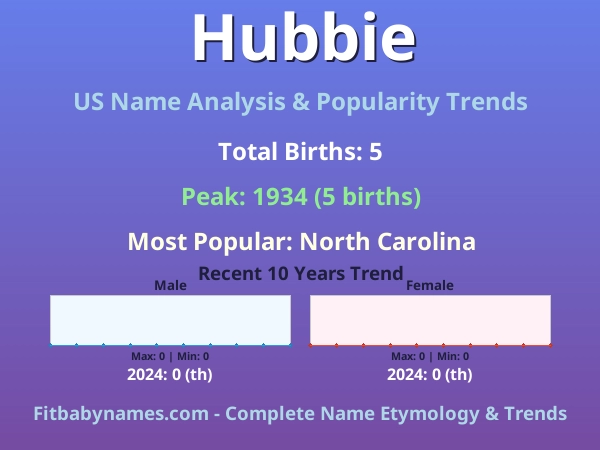 Infographic: Hubbie name meaning, origin, and popularity trends in the United States (US baby name analysis chart)