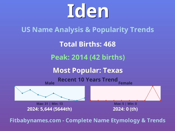 Infographic: Iden name meaning, origin, and popularity trends in the United States (US baby name analysis chart)