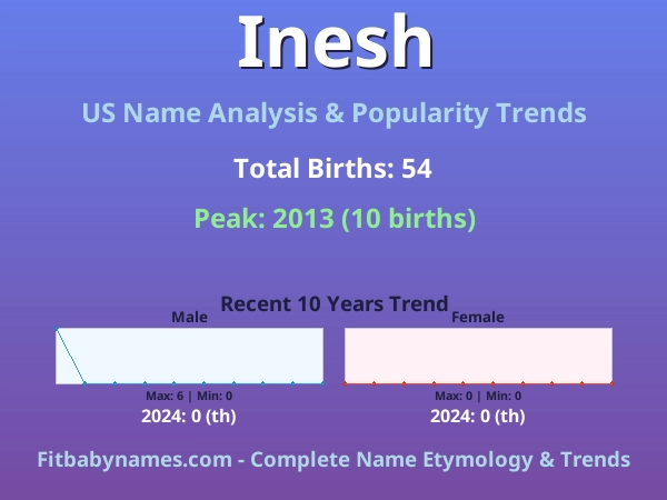 Infographic: Inesh name meaning, origin, and popularity trends in the United States (US baby name analysis chart)