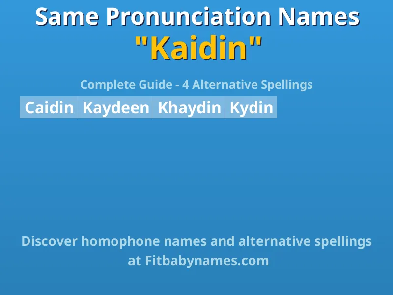 Infographic: Kaidin same pronunciation names, similar names, and homophone names