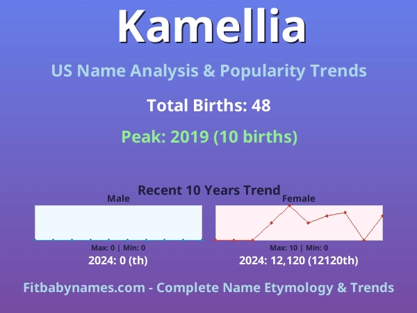 Infographic: Kamellia name meaning, origin, and popularity trends in the United States (US baby name analysis chart)