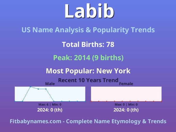 Infographic: Labib name meaning, origin, and popularity trends in the United States (US baby name analysis chart)