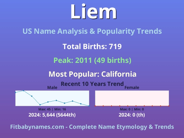 Infographic: Liem name meaning, origin, and popularity trends in the United States (US baby name analysis chart)