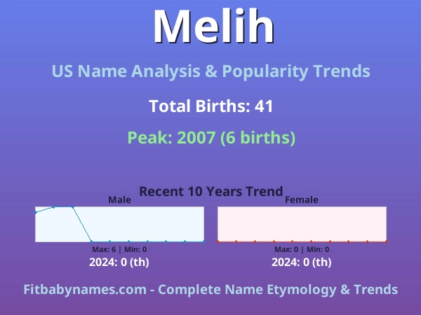 Infographic: Melih name meaning, origin, and popularity trends in the United States (US baby name analysis chart)