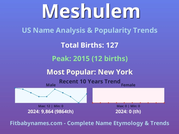 Infographic: Meshulem name meaning, origin, and popularity trends in the United States (US baby name analysis chart)