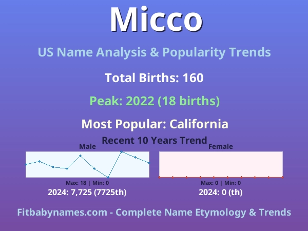 Infographic: Micco name meaning, origin, and popularity trends in the United States (US baby name analysis chart)