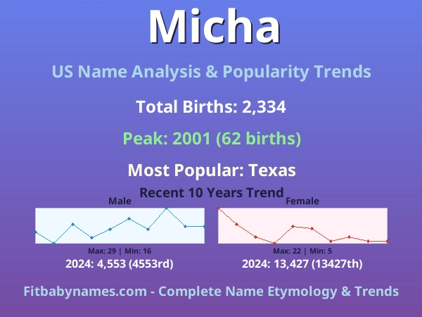 Infographic: Micha name meaning, origin, and popularity trends in the United States (US baby name analysis chart)