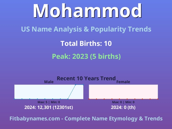 Infographic: Mohammod name meaning, origin, and popularity trends in the United States (US baby name analysis chart)