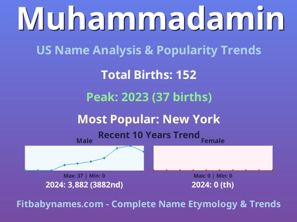 Infographic: Muhammadamin name meaning, origin, and popularity trends in the United States (US baby name analysis chart)