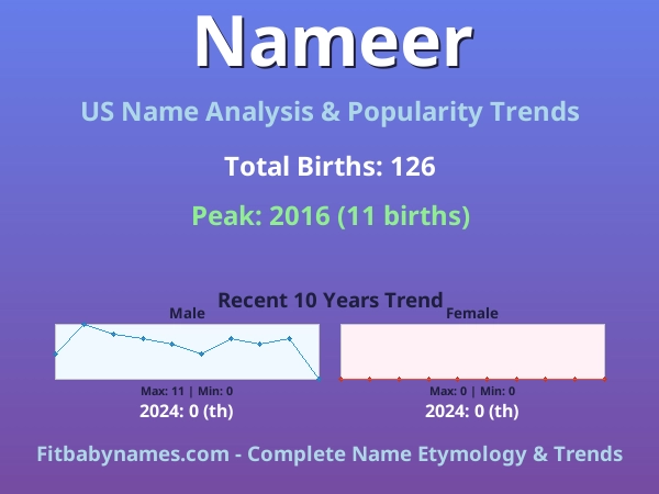 Infographic: Nameer name meaning, origin, and popularity trends in the United States (US baby name analysis chart)
