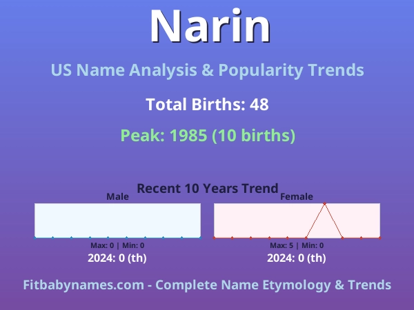 Infographic: Narin name meaning, origin, and popularity trends in the United States (US baby name analysis chart)