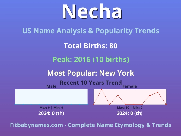 Infographic: Necha name meaning, origin, and popularity trends in the United States (US baby name analysis chart)