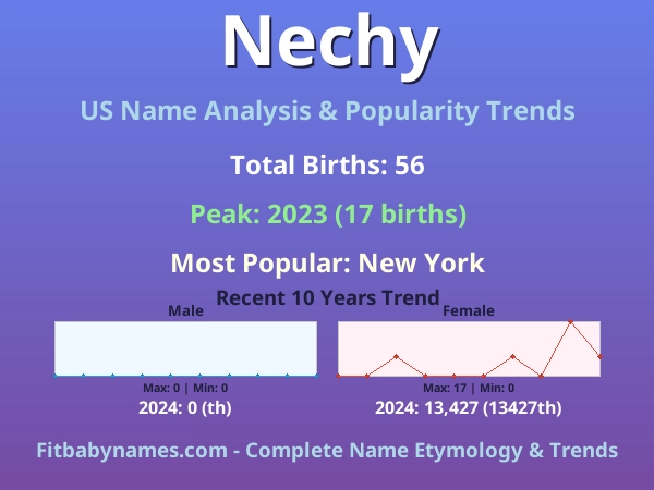 Infographic: Nechy name meaning, origin, and popularity trends in the United States (US baby name analysis chart)