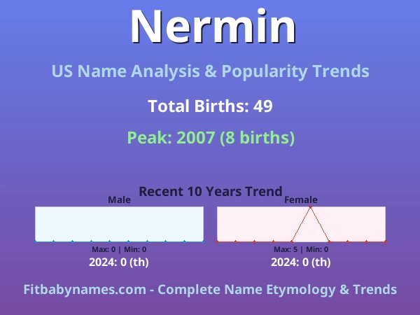 Infographic: Nermin name meaning, origin, and popularity trends in the United States (US baby name analysis chart)