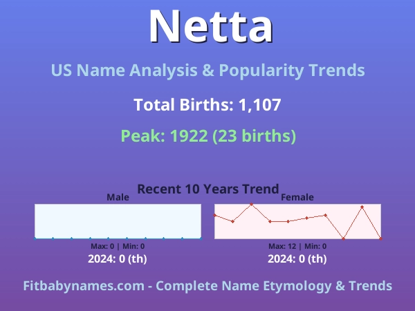Infographic: Netta name meaning, origin, and popularity trends in the United States (US baby name analysis chart)