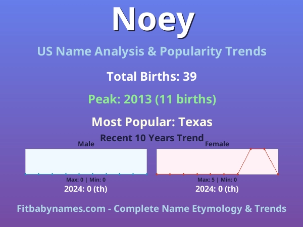 Infographic: Noey name meaning, origin, and popularity trends in the United States (US baby name analysis chart)