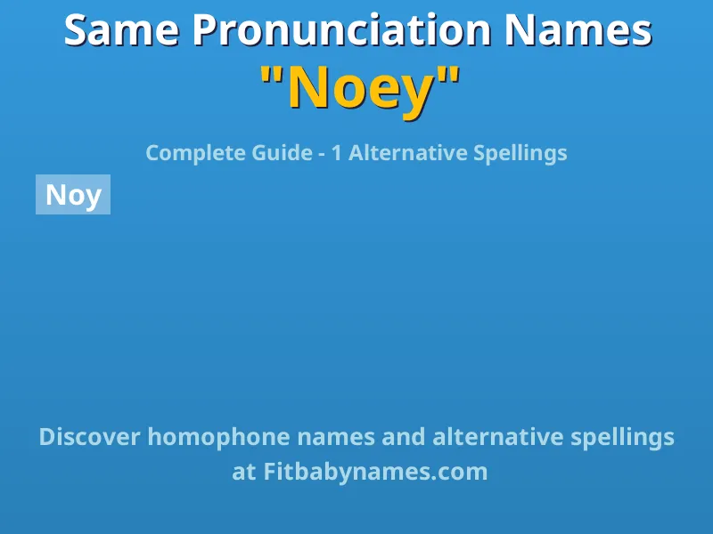 Infographic: Noey same pronunciation names, similar names, and homophone names