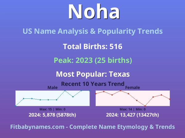 Infographic: Noha name meaning, origin, and popularity trends in the United States (US baby name analysis chart)