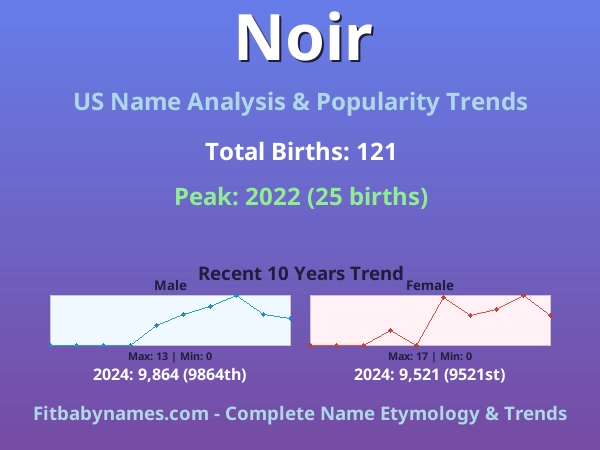Infographic: Noir name meaning, origin, and popularity trends in the United States (US baby name analysis chart)