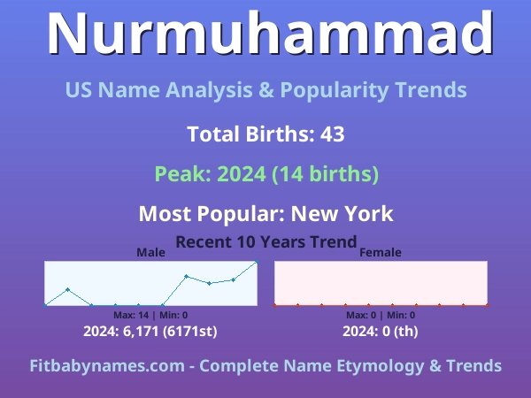 Infographic: Nurmuhammad name meaning, origin, and popularity trends in the United States (US baby name analysis chart)