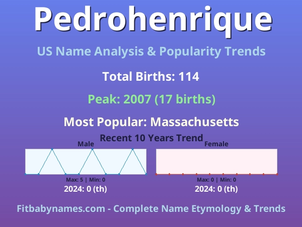 Infographic: Pedrohenrique name meaning, origin, and popularity trends in the United States (US baby name analysis chart)