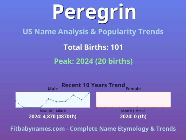 Infographic: Peregrin name meaning, origin, and popularity trends in the United States (US baby name analysis chart)
