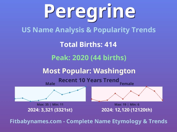 Infographic: Peregrine name meaning, origin, and popularity trends in the United States (US baby name analysis chart)