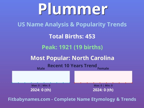 Infographic: Plummer name meaning, origin, and popularity trends in the United States (US baby name analysis chart)