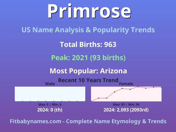 Infographic: Primrose name meaning, origin, and popularity trends in the United States (US baby name analysis chart)