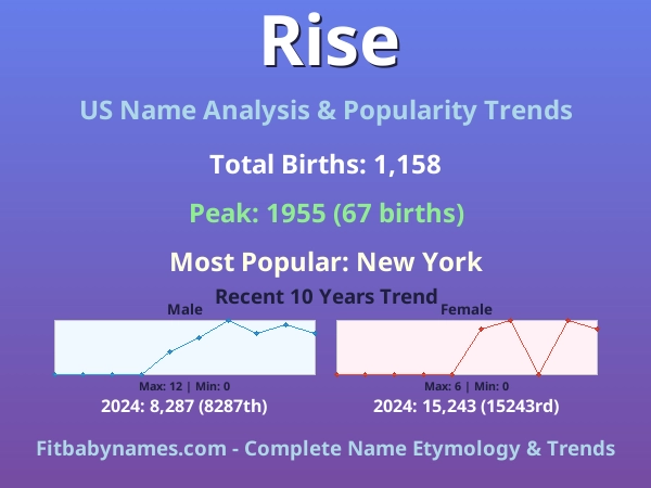 Infographic: Rise name meaning, origin, and popularity trends in the United States (US baby name analysis chart)
